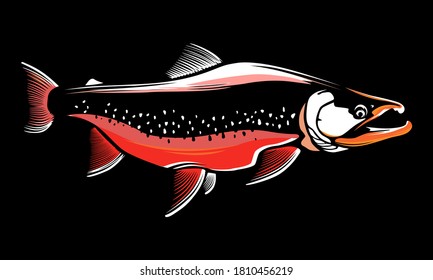 Salmon fishing  logo. Rainbow trout fish club emblem. Fishing theme illustration. Isolated on white.