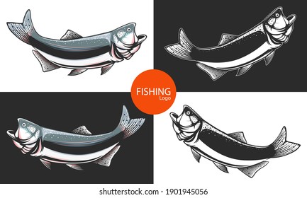 Salmon fishing  logo. Rainbow trout fish club emblem. Fishing theme illustration. Isolated on white.