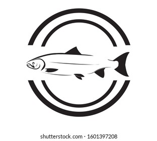 Salmon is good for the body
