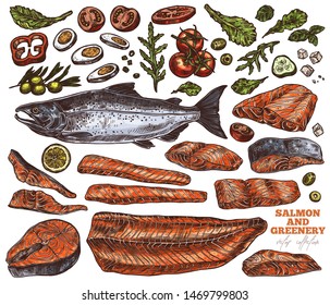 Salmon and greenery hand drawn illustrations set. Raw uncooked red fish fillet pieces and steaks color sketches pack. Boiled egg, tomatoes and lemon slices. Green salad, basil leaves drawings