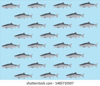 Salmon group pattern vector illustration.  Fabric textile shower sea print. Seafood fishing sail navigation background