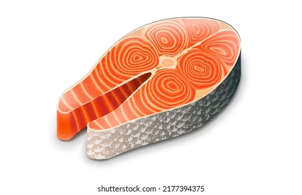 Ilustración vectorial de filet altamente detallada de salmón. Diseño de filete de trucha silvestre alaska para cualquier propósito. Supercomida saludable.  