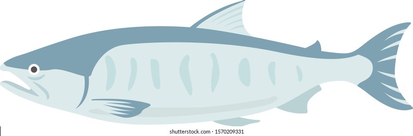 Salmon Illustration.
Illustration of fish.