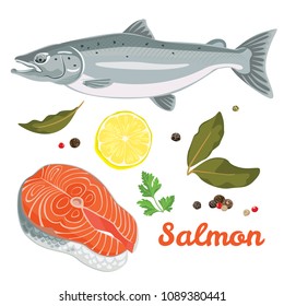 Salmon isolated on white background. Set of vector illustrations of salmon fish, steak and spices in flat style. Food and restaurant design.  Fresh seafood menu.