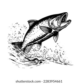 salmon jumping out of water vintage retro line engrave style vector. salmon fish vintage retro line engrave style vector. salmon fish vintage retro line engrave style vector isolated black and white