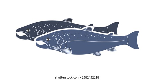 Salmon logo. Isolated salmon on white background