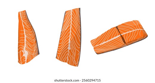 salmon meat illustration vector collection