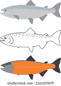 Salmon meat, seafood raw part, vector illustration