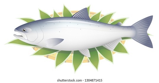The salmon on a basket, isolated on the white background.