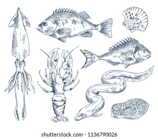 Salmon and perch, squid and eel sea delicacy, crayfish river and edible mussel vector illustration monochrome icon set for seafood restaurant poster.