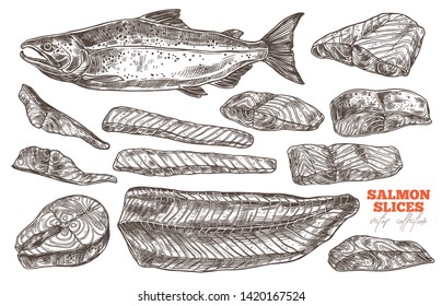 Salmon red fish sketch vector set. Steak and slices meat for cooking grill and bbq. Hand drawn illustration