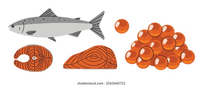 Salmon, Salmon Roe 1 cute on a White background, vector illustration.