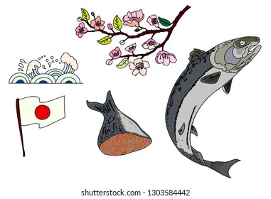 Salmon with Sakura flower and Japanese flag on Fuji mountain vector illustration.