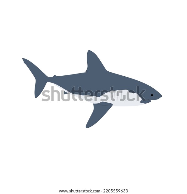 The\
salmon shark, Lamna ditropis is one species of mackerel shark that\
can be found in northern Pacific ocean. This shark has a short,\
compressed body with a short, cone-shaped\
snout.