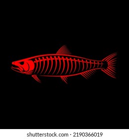 Salmon Skeleton Vector. Unique and Fresh Skeleton fish of Salmon. Great to use as your salmon fishing activity. 