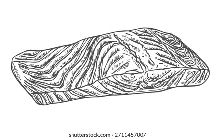 Salmon steak hand drawn isolated on white background for menu design. Vintage engraved sketch. Seafood dot drawing collection
