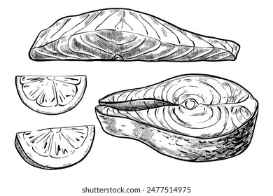 Salmon steak hand drawn vintage vector sketch drawing