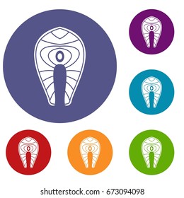 Salmon steak icons set in flat circle reb, blue and green color for web