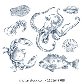 Salmon steak and perch, shrimp and crab, octopus and mussel and common cockle clam. Seafood variation monochrome poster with sketch illustration.