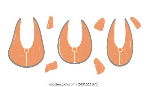 Salmon steak set. Red fish pieces. Healthy food Vector flat illustration isolated on white background.