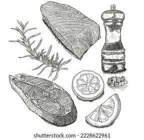 salmon steak vector hand drawn illustration. rosemary, lemon, fish elements