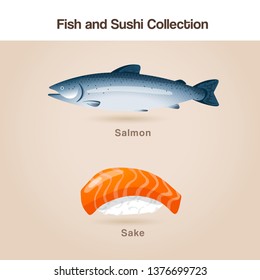 Salmon Sushi : Fish and sushi set : Vector Illustration