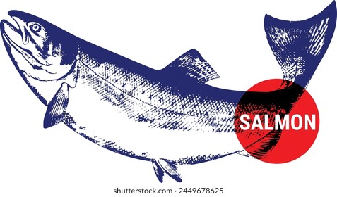 Salmon Taimen cartoon style drawing of a king salmon, Vintage retro graphics line, Logo Vector illustration, Isolated on white background.