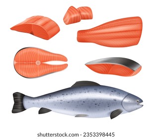 Salmon. Template of different pieces of realistic fish decent vector illustration for menu design