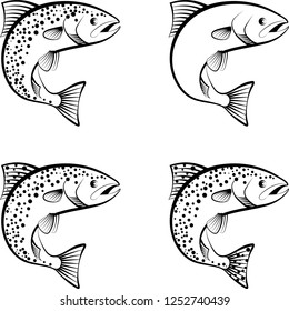 salmon and trout - clip art illustration
