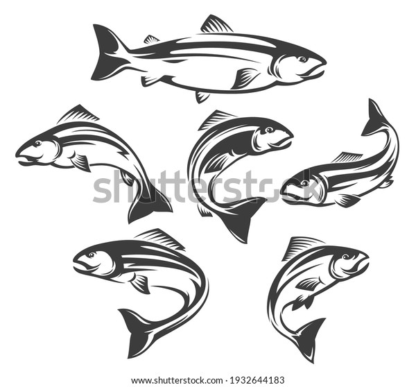 Salmon or trout fish isolated icons of vector\
fishing sport and seafood design. Ocean or sea water animal symbols\
and emblems, jumping or swimming fish of atlantic, coho, chinook\
and pink salmons