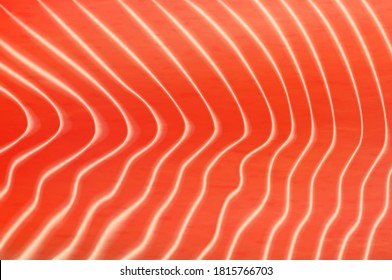 Fondo de textura de carne de pescado de salmón o trucha. La textura de filete vectorial con rayas blancas, la carne de salmón crudo naranja realista cierra la vista macro. Sushi, sashimi japonés ingrediente alimentario, papel pintado gráfico