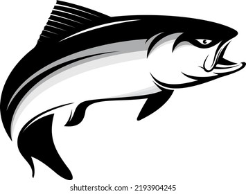 salmon trout fish vector for fishing logo company