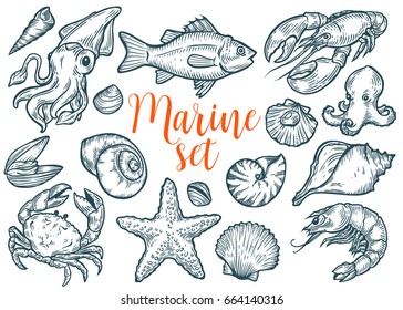 Salmon, tuna fish steak, crab, mussels, oysters, prawn, shrimp, squid, lobster, cancer, omar, octopus, clam sketch vector set. Hand drawn engraved illustration. Marine Healthy seafood. Organic product