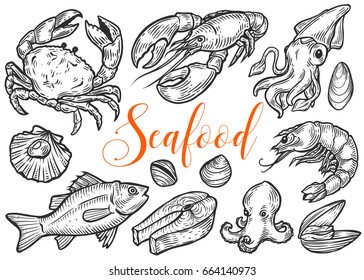 Salmon, tuna fish steak, crab, mussels, oysters, prawn, shrimp, squid, lobster, omar, octopus, clam sketch vector set. Hand drawn engraved illustration. Marine Healthy seafood. Organic product