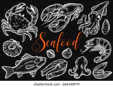 Salmon, tuna fish steak, crab, mussels, oysters, prawn, shrimp, squid, lobster,  omar, octopus, clam sketch vector set. Hand drawn engraved illustration. Marine Healthy seafood. Organic product