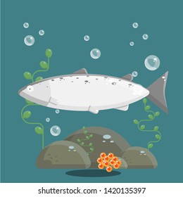 Fish Eggs Water Images Stock Photos Vectors Shutterstock