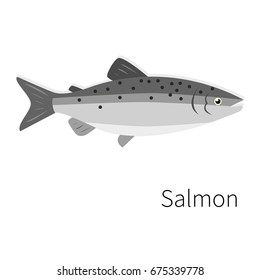 Salmon vector icon. Isolated sea humpback or pink salmon. Flat, simple,isolated.