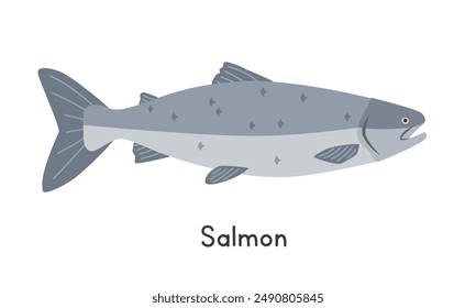 Salmon vector illustration. Salmon fish cartoon clipart, animal in flat style. Sea animals, underwater creatures, ocean animals, marine life concept. Salmon vector design isolated on white