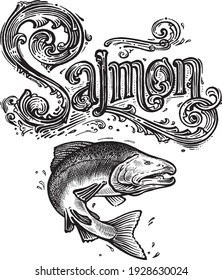 Salmon, vector logo and illustration. Vintage graphics and handwork. Drawing with an ink pen and pencil. The salmon jumps out of the water and a vintage logo. A collection of beautiful logo and words.