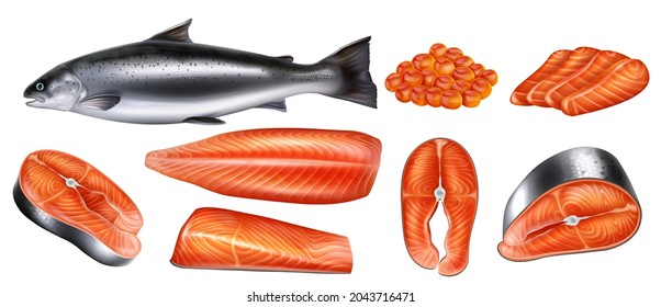 Salmon whole red fish, caviar, raw steaks and fillet realistic isolated vector illustration. Seafood meal.