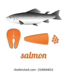 Salmon whole red fish, raw steaks and fillet, vector illustration