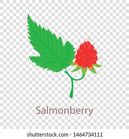 Salmonberry icon. Isometric illustration of salmonberry vector icon for web