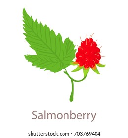 Salmonberry icon. Isometric illustration of salmonberry vector icon for web