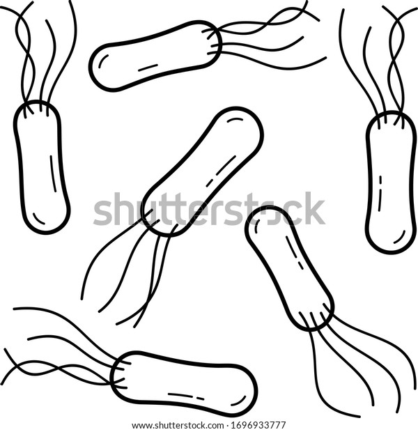 Salmonella Bacteria Vector Outline Icon: เวกเตอร์สต็อก (ปลอดค่า ...