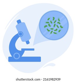 Salmonella Typhi bacteria in a petri dish under the microscope in a laboratory. Medical research of microbes. Lab tools for scientific experiment. Biochemistry and analysis vector concept.