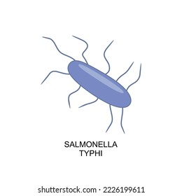 Icono de Salmonella Typhi. Bacterio Salmonella Typhi en estilo plano. Bacterias del icono Salmonella Typhi. ilustración vectorial