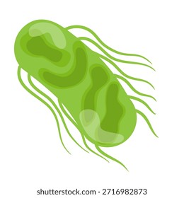Ilustración vectorial por Salmonella Typhi. Estructura de Salmonella Typhi
