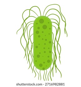 Salmonella Typhi Vektorgrafik. Salmonella Typhi-Struktur