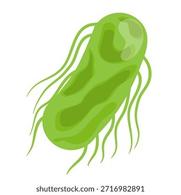 Salmonella Typhi Vektorgrafik. Salmonella Typhi-Struktur