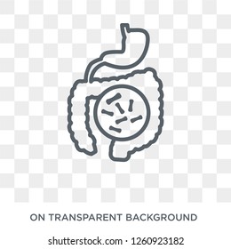 Salmonellosis icon. Trendy flat vector Salmonellosis icon on transparent background from Diseases collection. High quality filled Salmonellosis symbol use for web and mobile